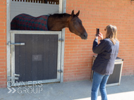 EL130924-149 - Emma Lavelle Stable Visit